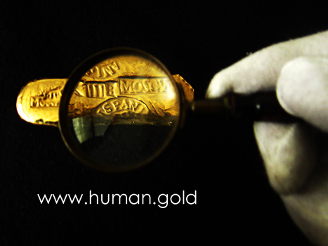 Human Gold - Welcome by Social art in Gold